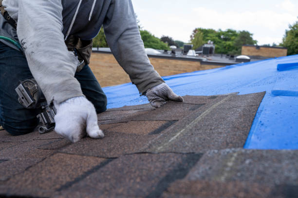 Best Emergency Roof Repair  in Diamond, IL