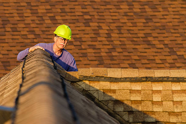 Best Roof Leak Repair  in Diamond, IL