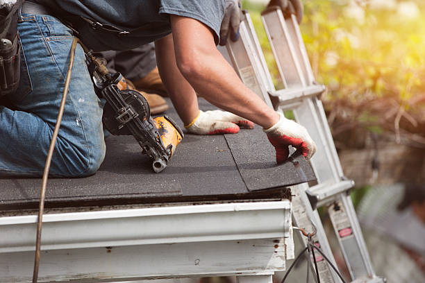 Best Roof Gutter Cleaning  in Diamond, IL