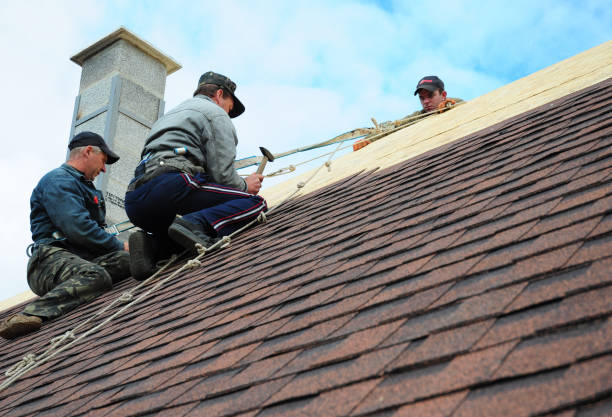 Best Commercial Roofing Services  in Diamond, IL
